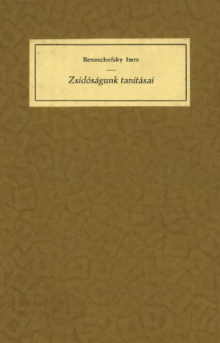 Zsid&oacute;s&aacute;gunk tan&iacute;t&aacute;sai