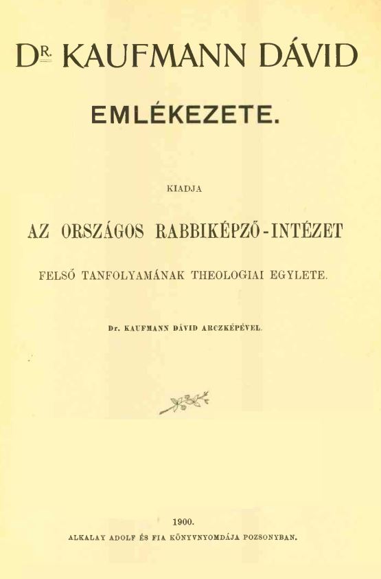 Dr. Kaufmann D&aacute;vid eml&eacute;kezete