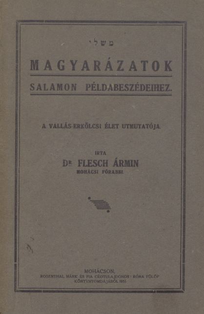 Magyar&aacute;zatok Salamon p&eacute;ldabesz&eacute;deihez