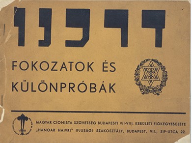 Fokozatok &eacute;s k&uuml;l&ouml;npr&oacute;b&aacute;k