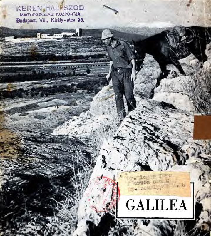 Galilea
