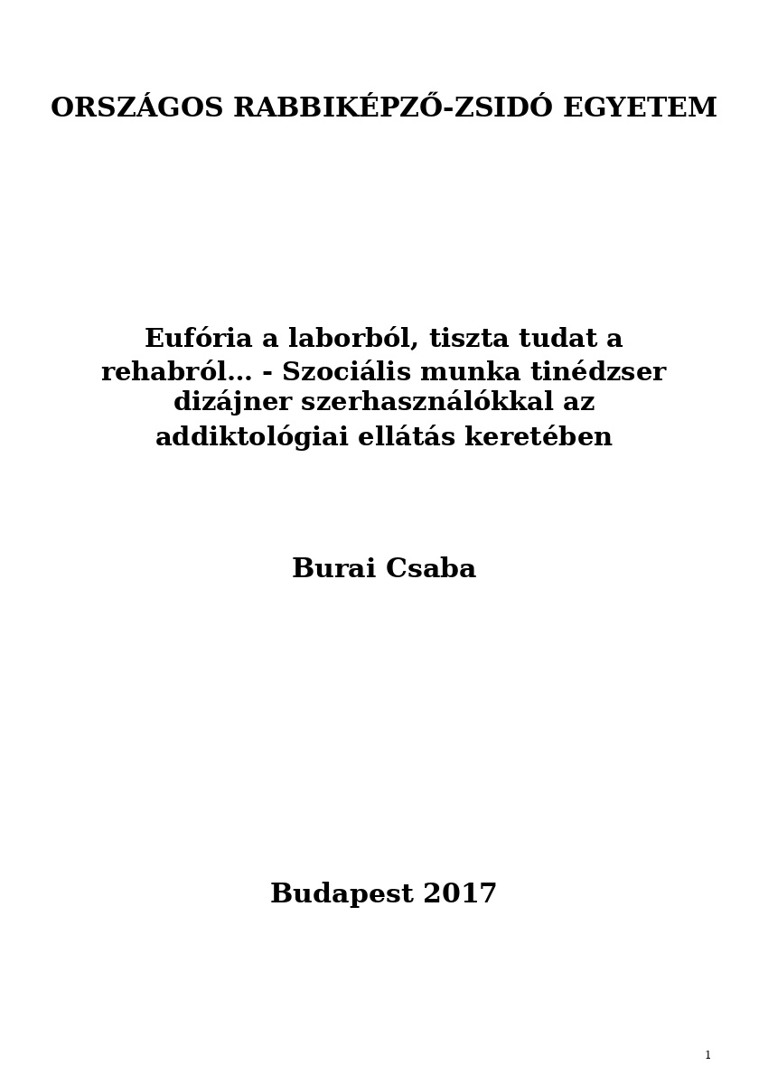 Euf&oacute;ria a laborb&oacute;l, tiszta tudat a rehabr&oacute;l&hellip; - Szoci&aacute;lis munka tin&eacute;dzser diz&aacute;jner szerhaszn&aacute;l&oacute;kkal az ...