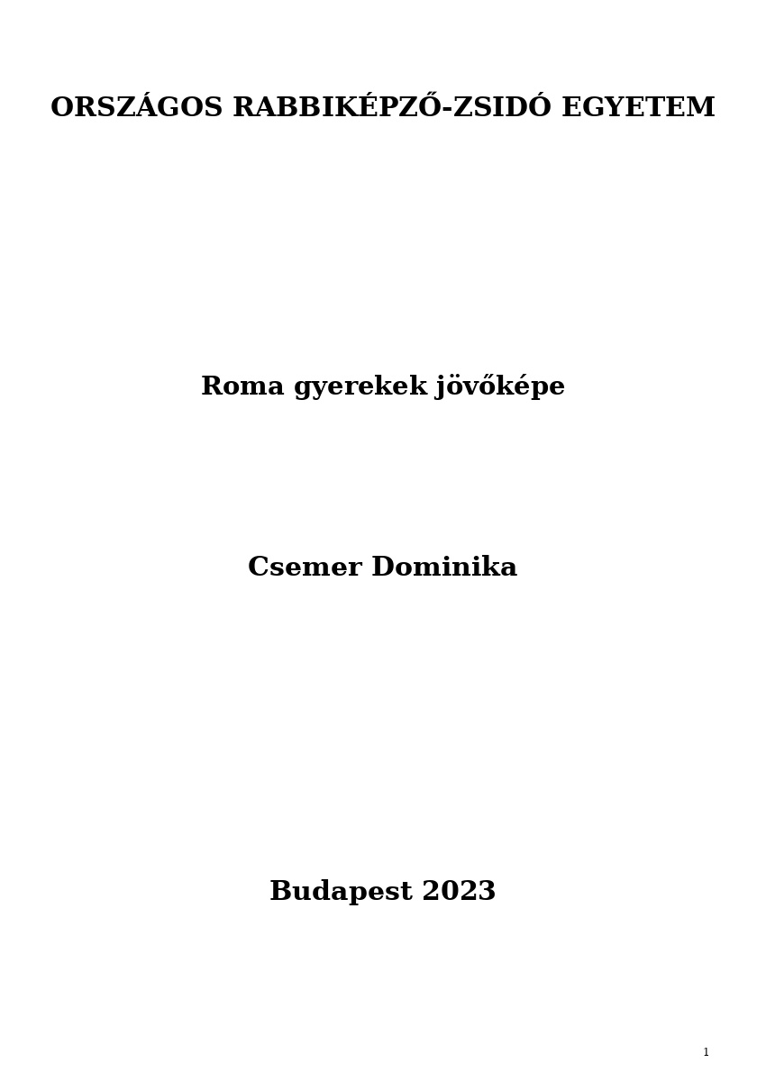 Roma gyerekek j&ouml;vők&eacute;pe