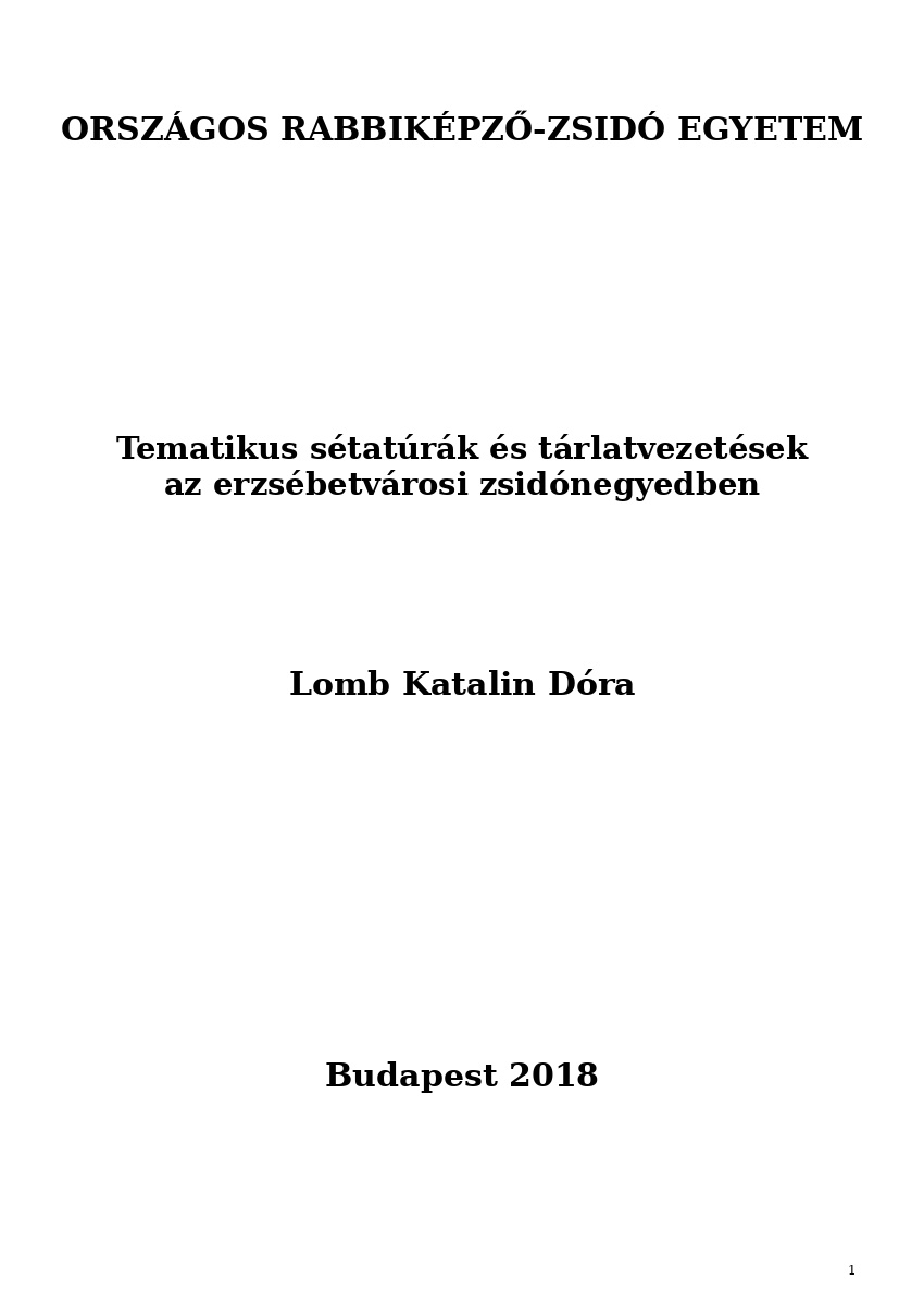Tematikus s&eacute;tat&uacute;r&aacute;k &eacute;s t&aacute;rlatvezet&eacute;sek az erzs&eacute;betv&aacute;rosi zsid&oacute;negyedben