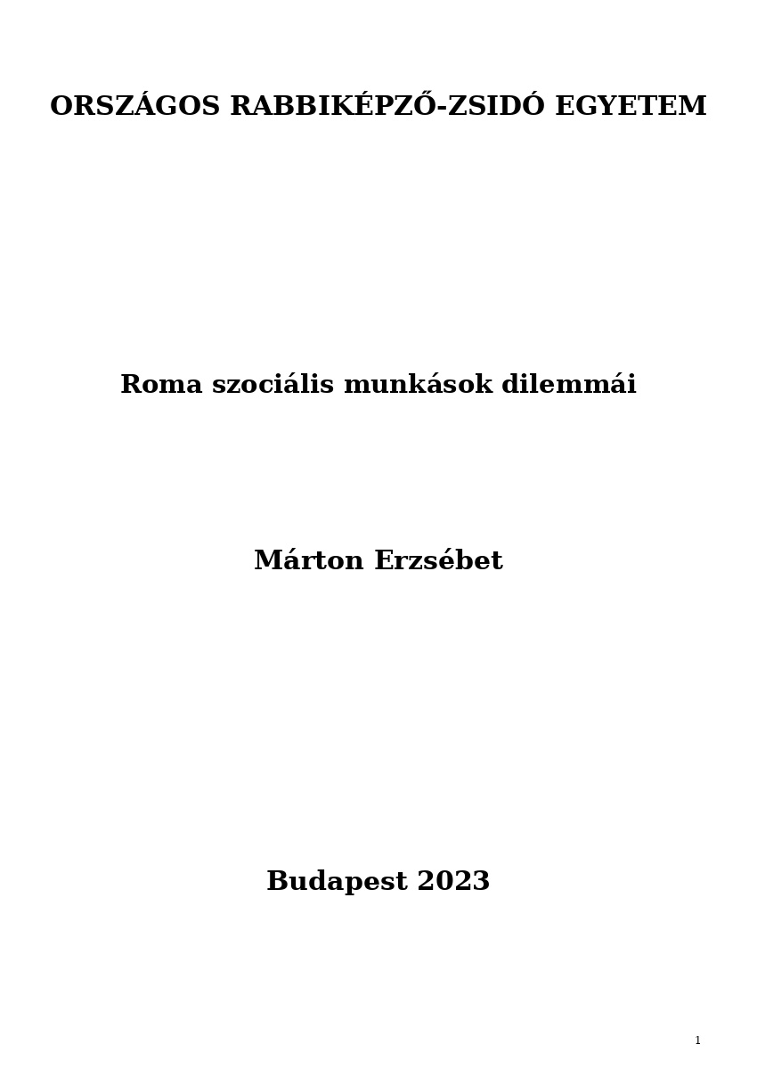Roma szoci&aacute;lis munk&aacute;sok dilemm&aacute;i