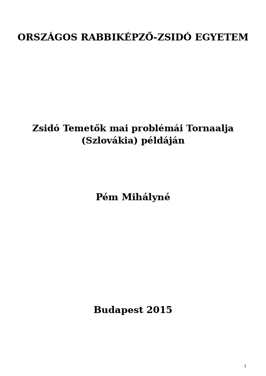 Zsid&oacute; Temetők mai probl&eacute;m&aacute;i Tornaalja (Szlov&aacute;kia) p&eacute;ld&aacute;j&aacute;n
