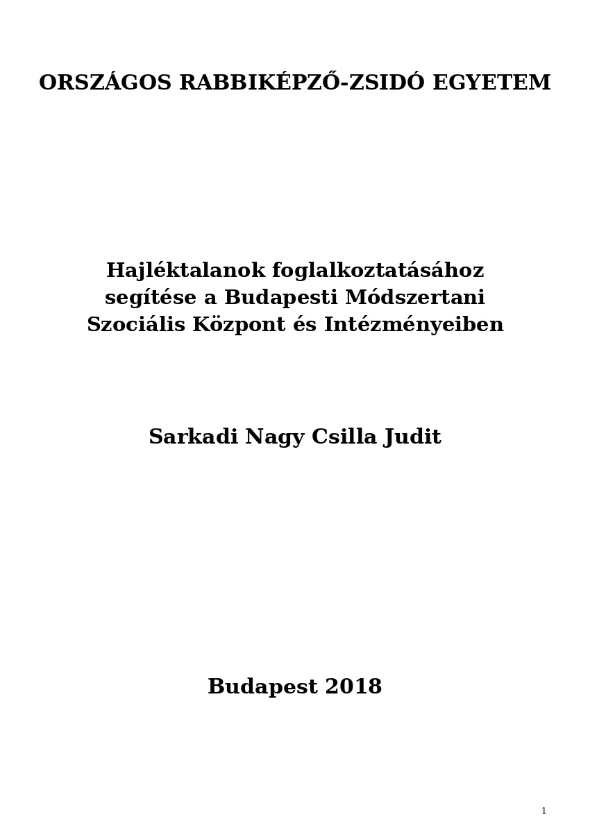 Hajléktalanok foglalkoztatásához segítése a Budapesti Módszertani Szociális Központ és Intézményeiben Hajléktalanok foglalkoztatásához segítése a Budapesti Módszertani Szociális Központ és Intézményeiben