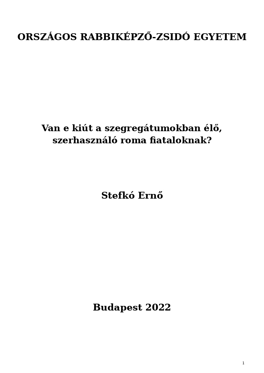 Van e ki&uacute;t a szegreg&aacute;tumokban &eacute;lő, szerhaszn&aacute;l&oacute; roma fiataloknak?