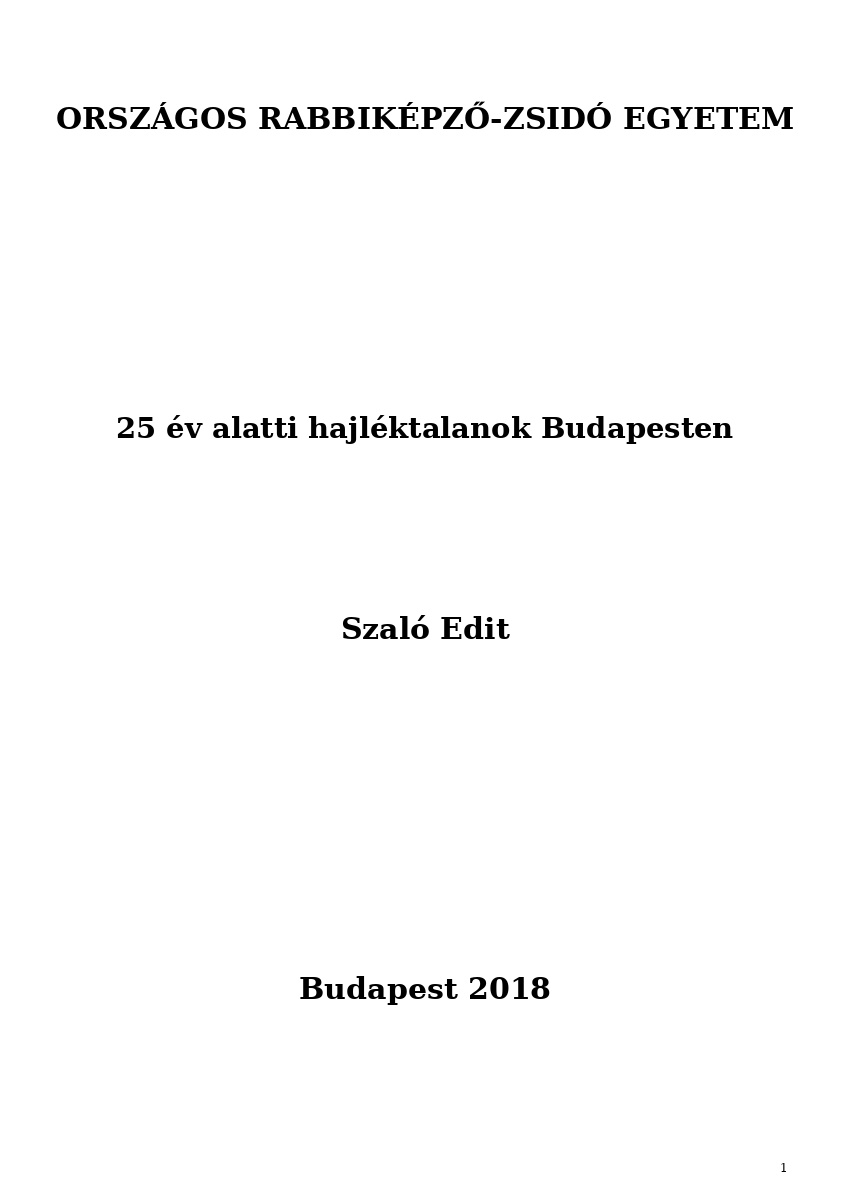 25 év alatti hajléktalanok Budapesten 25 év alatti hajléktalanok Budapesten