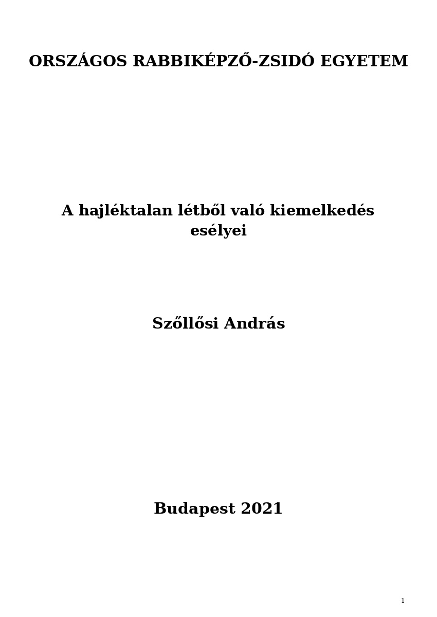 A hajléktalan létből való kiemelkedés esélyei A hajléktalan létből való kiemelkedés esélyei
