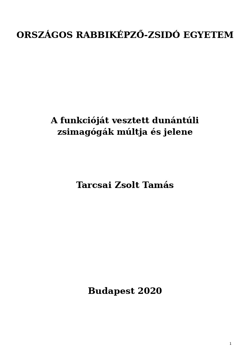 A funkcióját vesztett dunántúli zsimagógák múltja és jelene A funkcióját vesztett dunántúli zsimagógák múltja és jelene